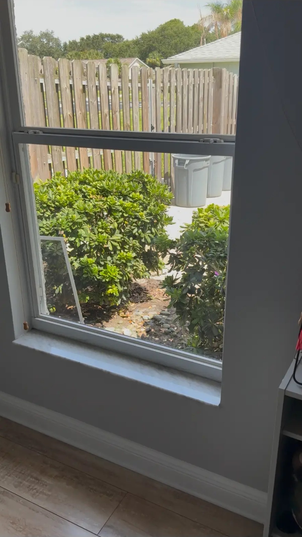 Spotless bedroom window with a clear backyard view after cleaning