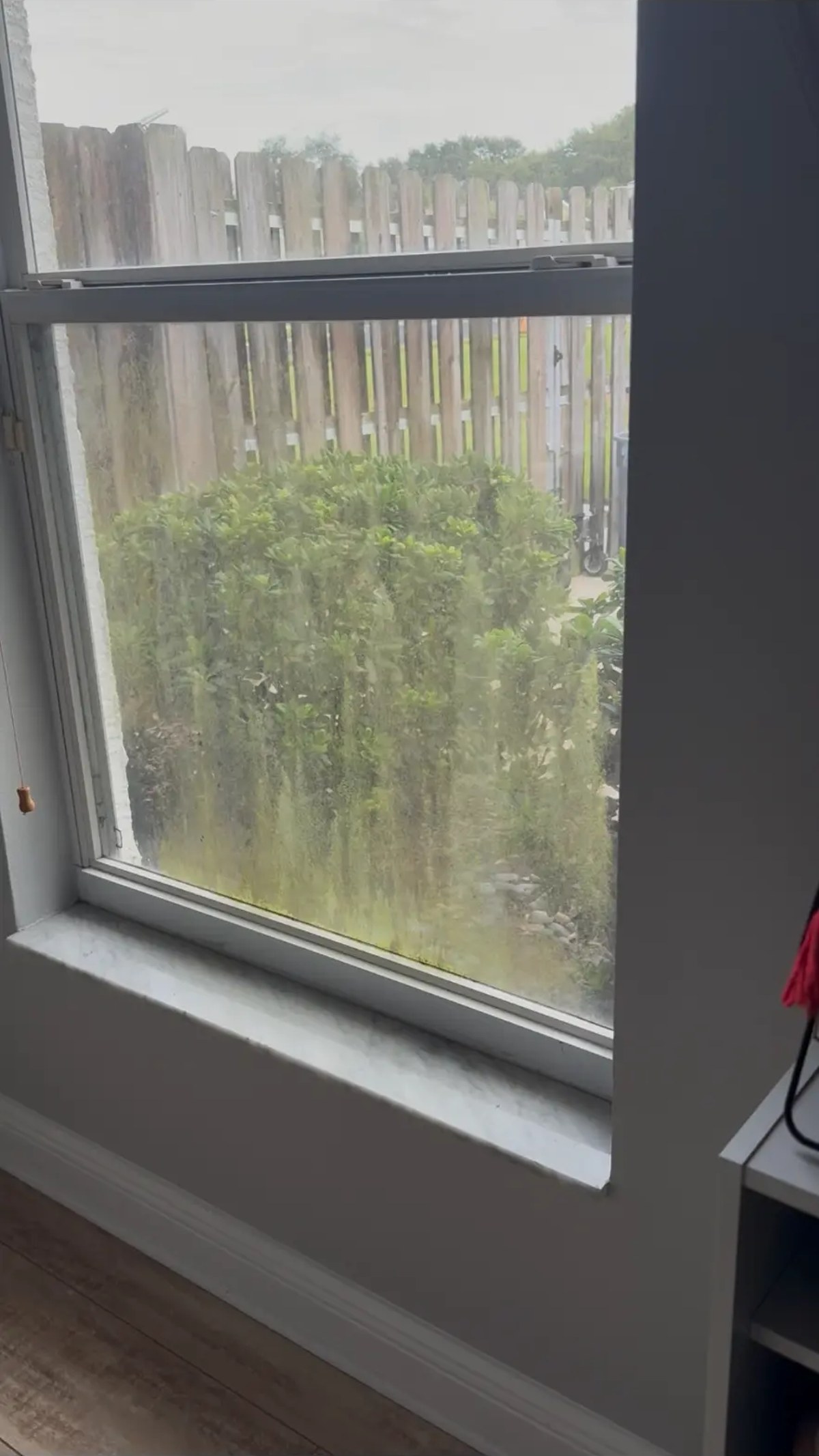 Bedroom window covered in algae and grime before cleaning