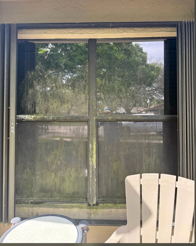 Dirty window covered in grime and algae